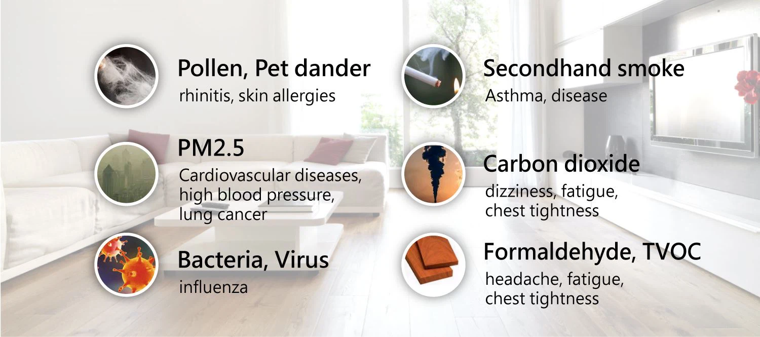 product-798-390 f2O2-04