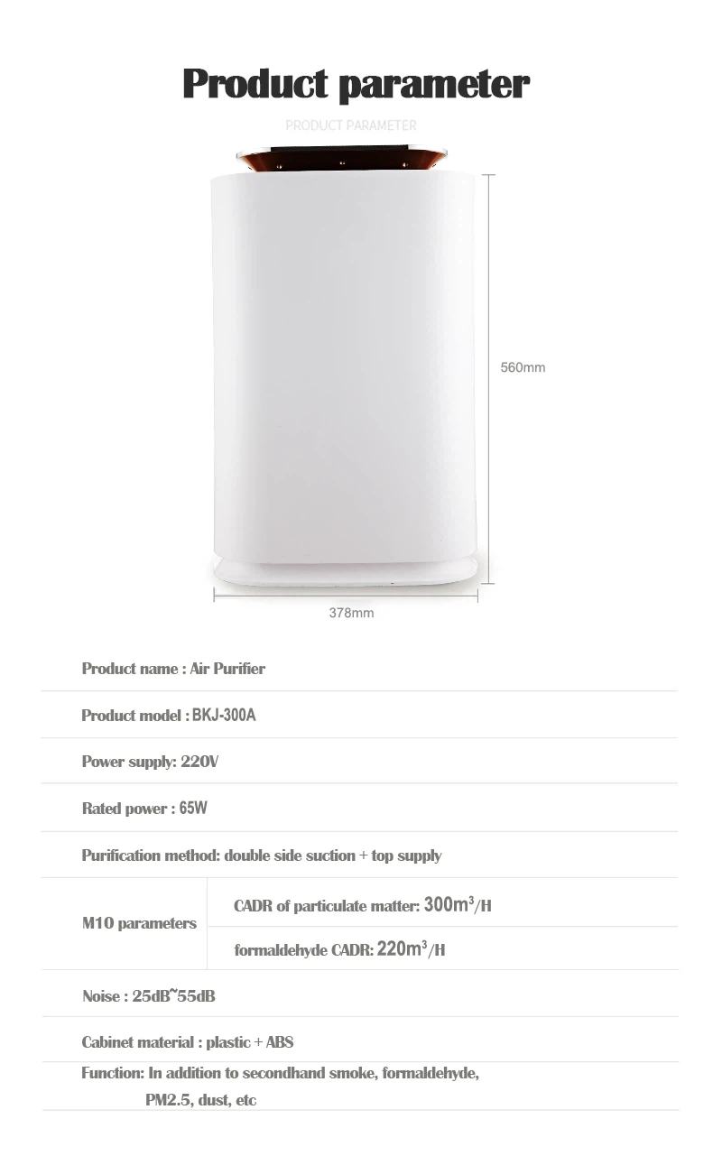 BKJ-300A-2 BKJ-300A-2