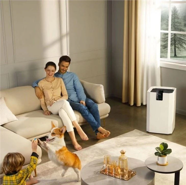 BKJ-80A 850 CADR Home Air Purifier For Sale