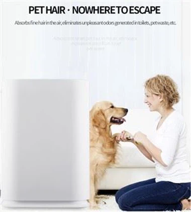 Čistička vzduchu pro zdravou péči BKJ-300H Ordour Dust Remove